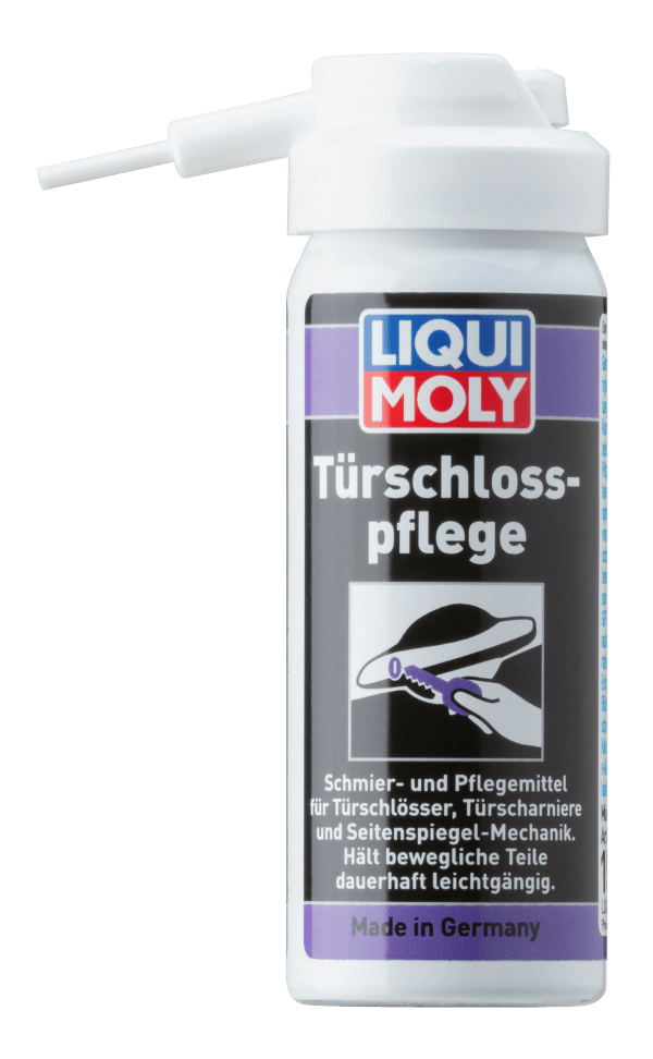 Türschloss-Pflege